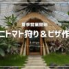 シンビオシスファームのトマト狩り